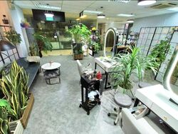 The Mezzo (D12), Retail #496585051